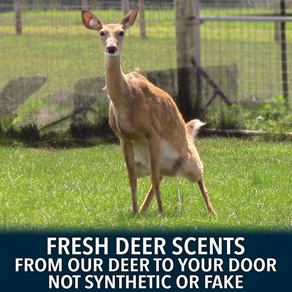 Deer Society Rut Package - Buy 5 Bottles Get 6 Free