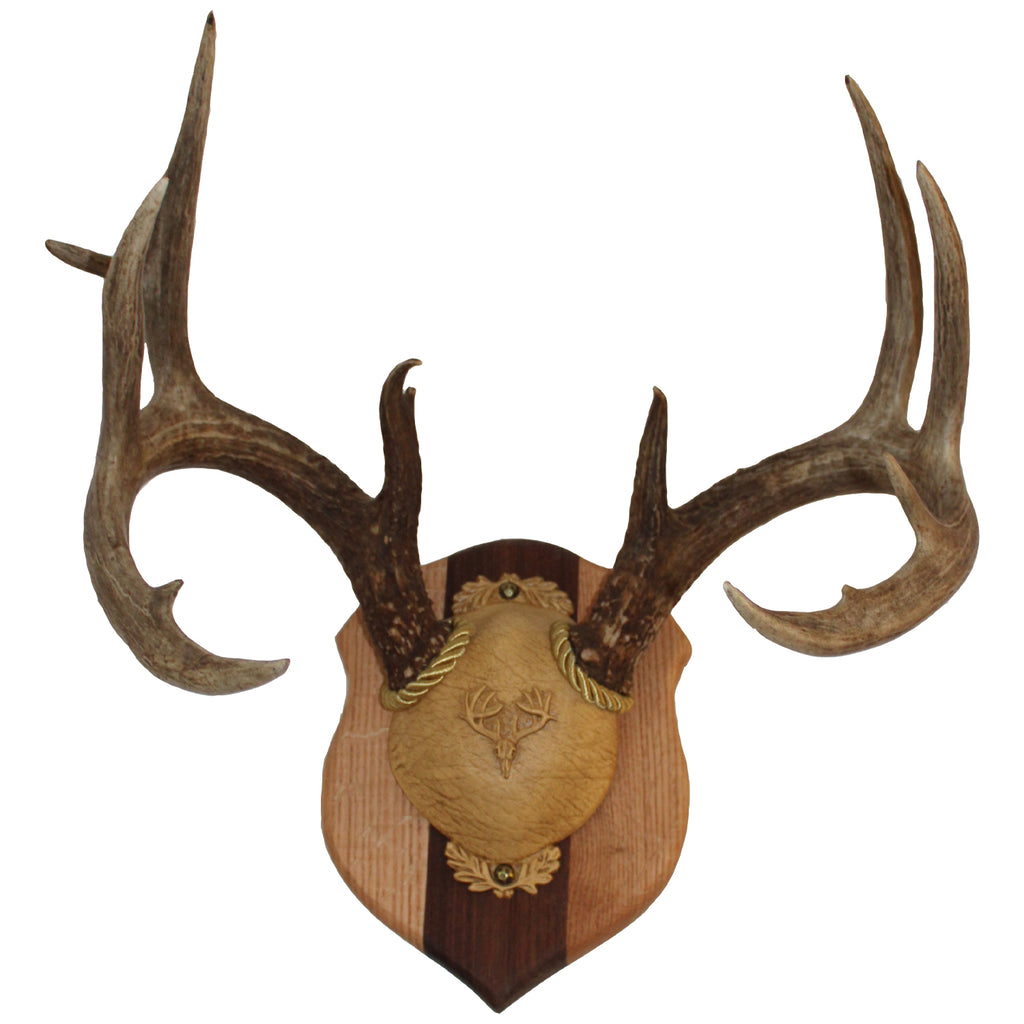 Antler Plaques