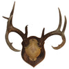 Antler Plaques