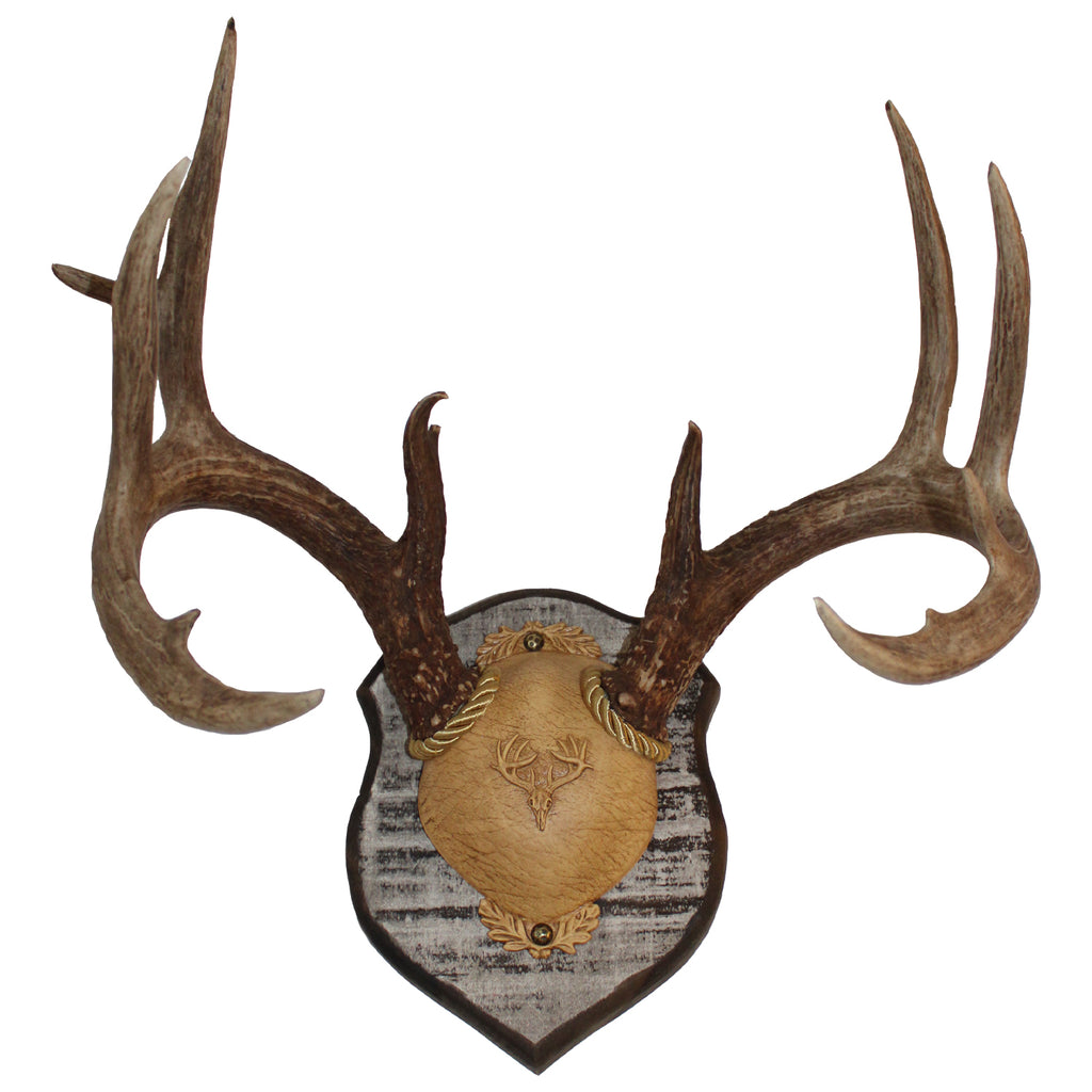 Antler Plaques