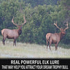 Elk Urine